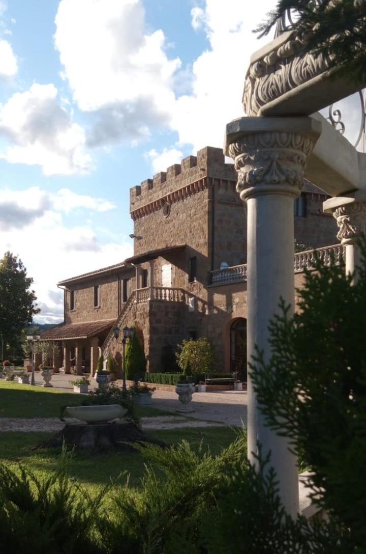 Dependance Torretta Pucci Apartment Civitella d'Agliano ภายนอก รูปภาพ