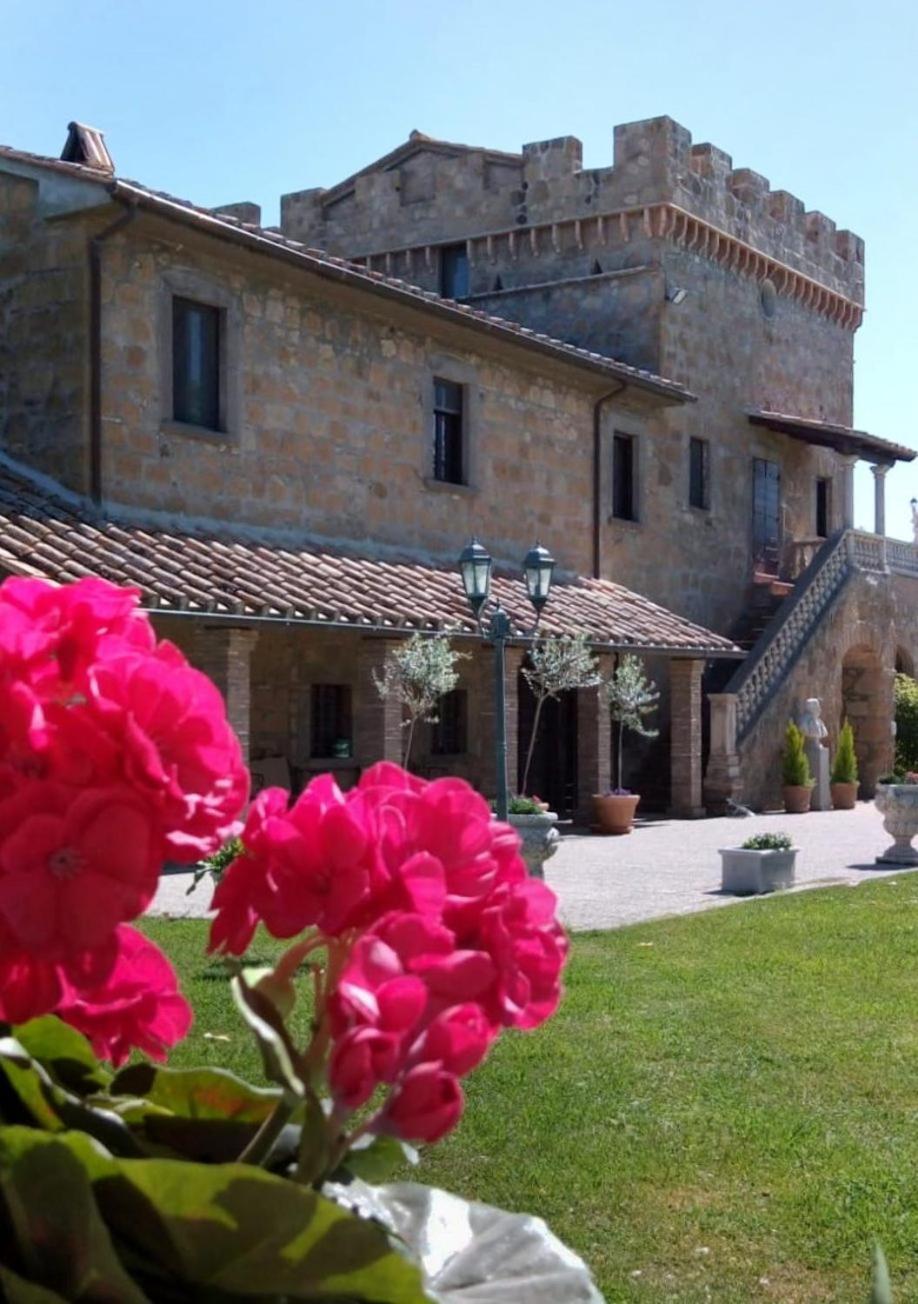 Dependance Torretta Pucci Apartment Civitella d'Agliano ภายนอก รูปภาพ